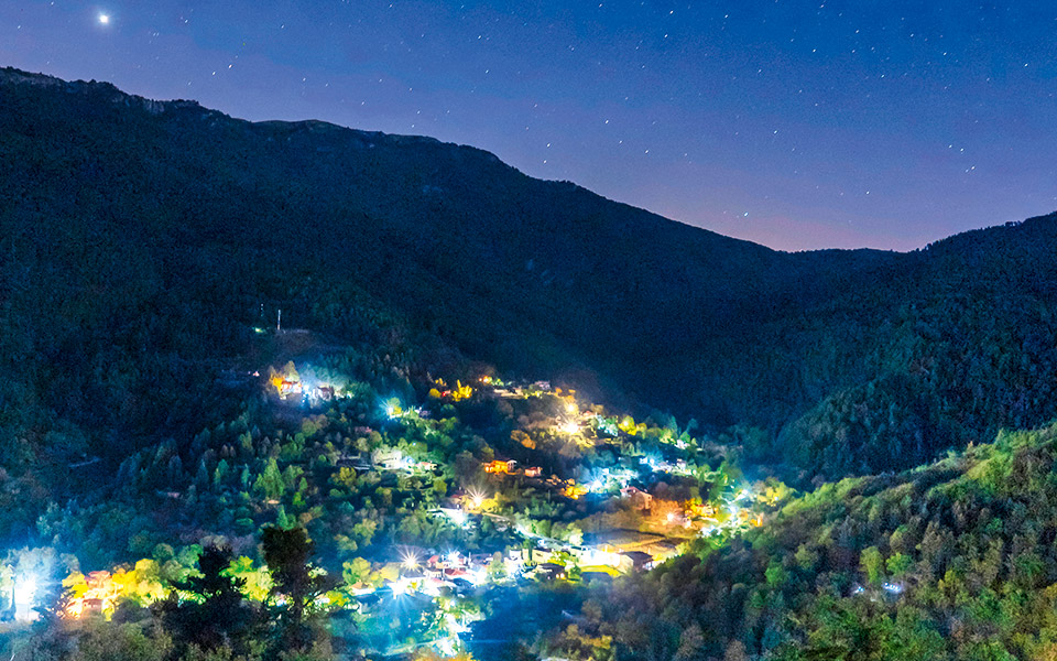 κυνηγοί-μανιταριών-στην-ορεινή-αχαΐα-562120834