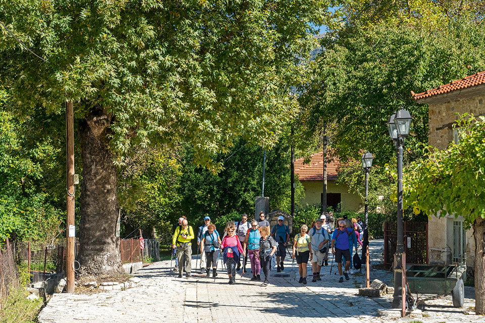 Κυνηγοί μανιταριών στην ορεινή Αχαΐα-7