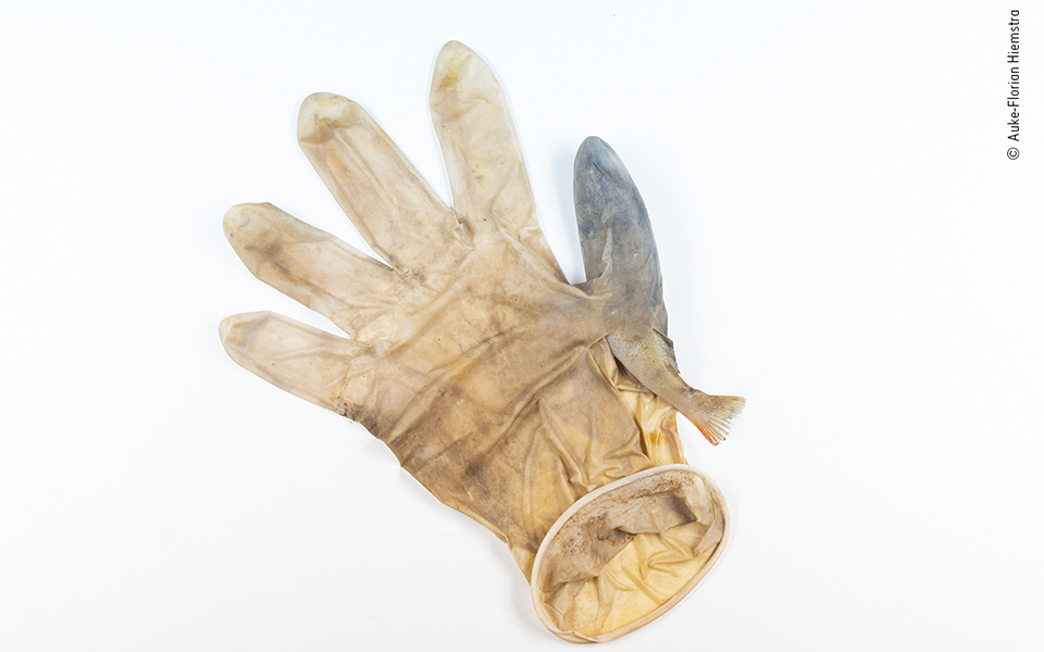 Τα κορυφαία κλικ της φύσης για το 2022-13