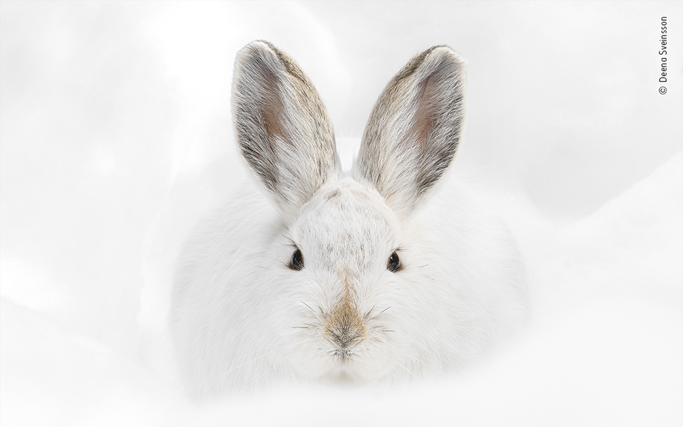 Τα κορυφαία κλικ της φύσης για το 2022-21