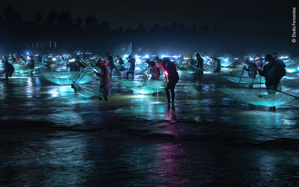 Τα κορυφαία κλικ της φύσης για το 2022-4