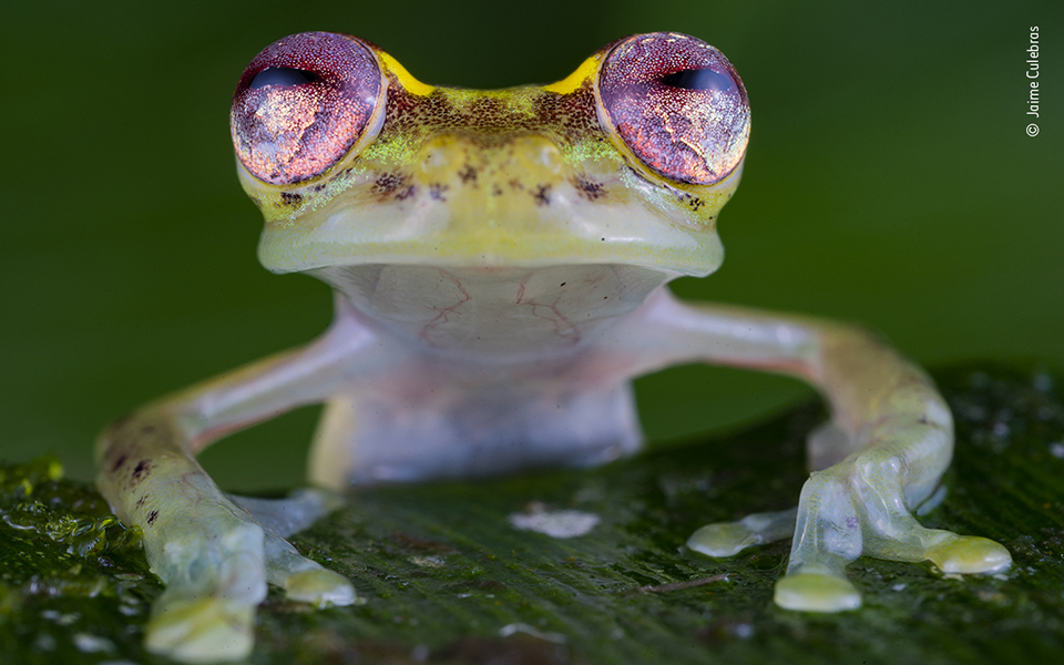 Τα κορυφαία κλικ της φύσης για το 2022-10