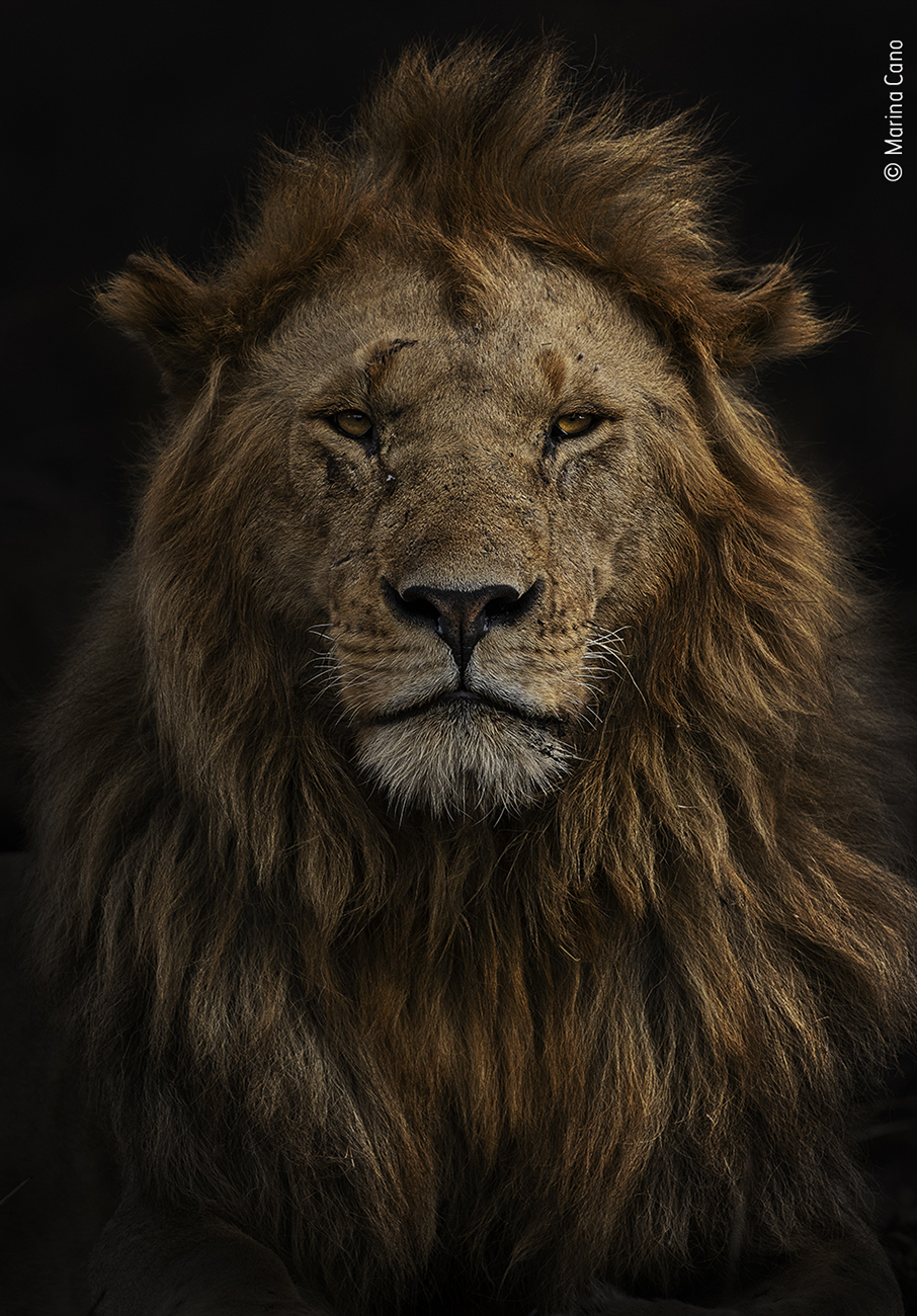 Τα κορυφαία κλικ της φύσης για το 2022-18