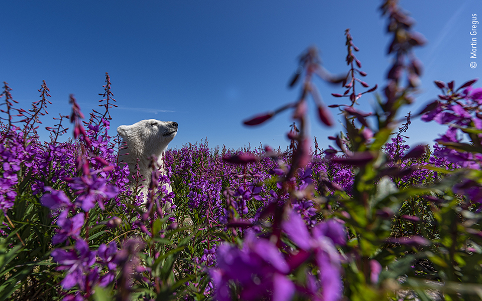 Τα κορυφαία κλικ της φύσης για το 2022-2