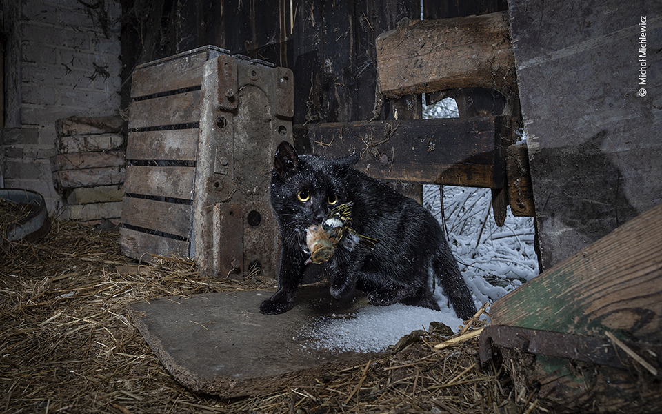 Τα κορυφαία κλικ της φύσης για το 2022-11
