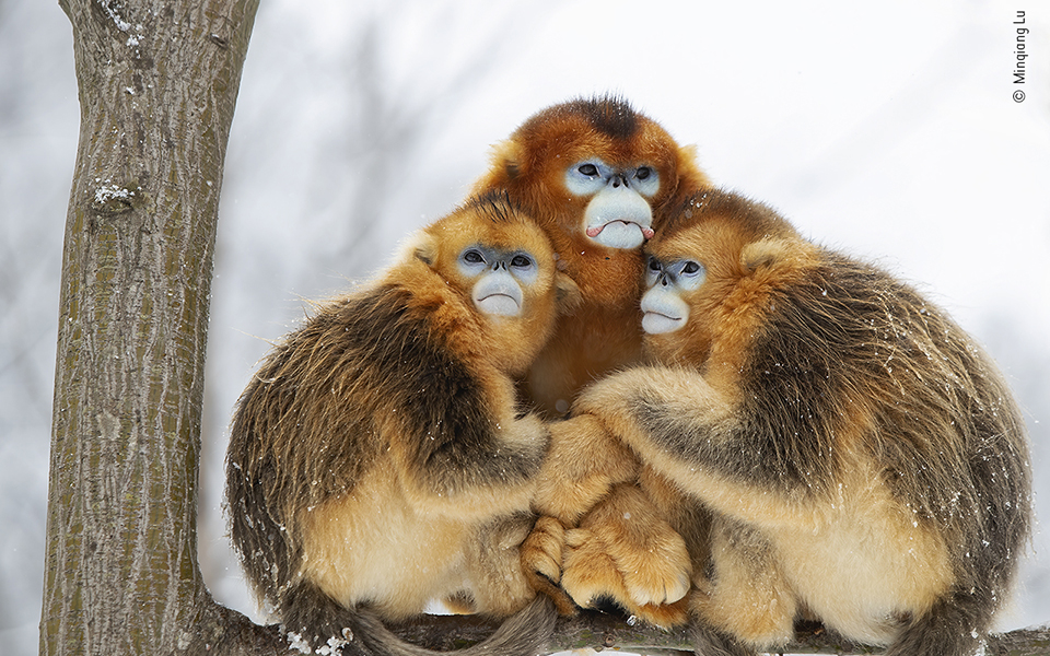 Τα κορυφαία κλικ της φύσης για το 2022-5