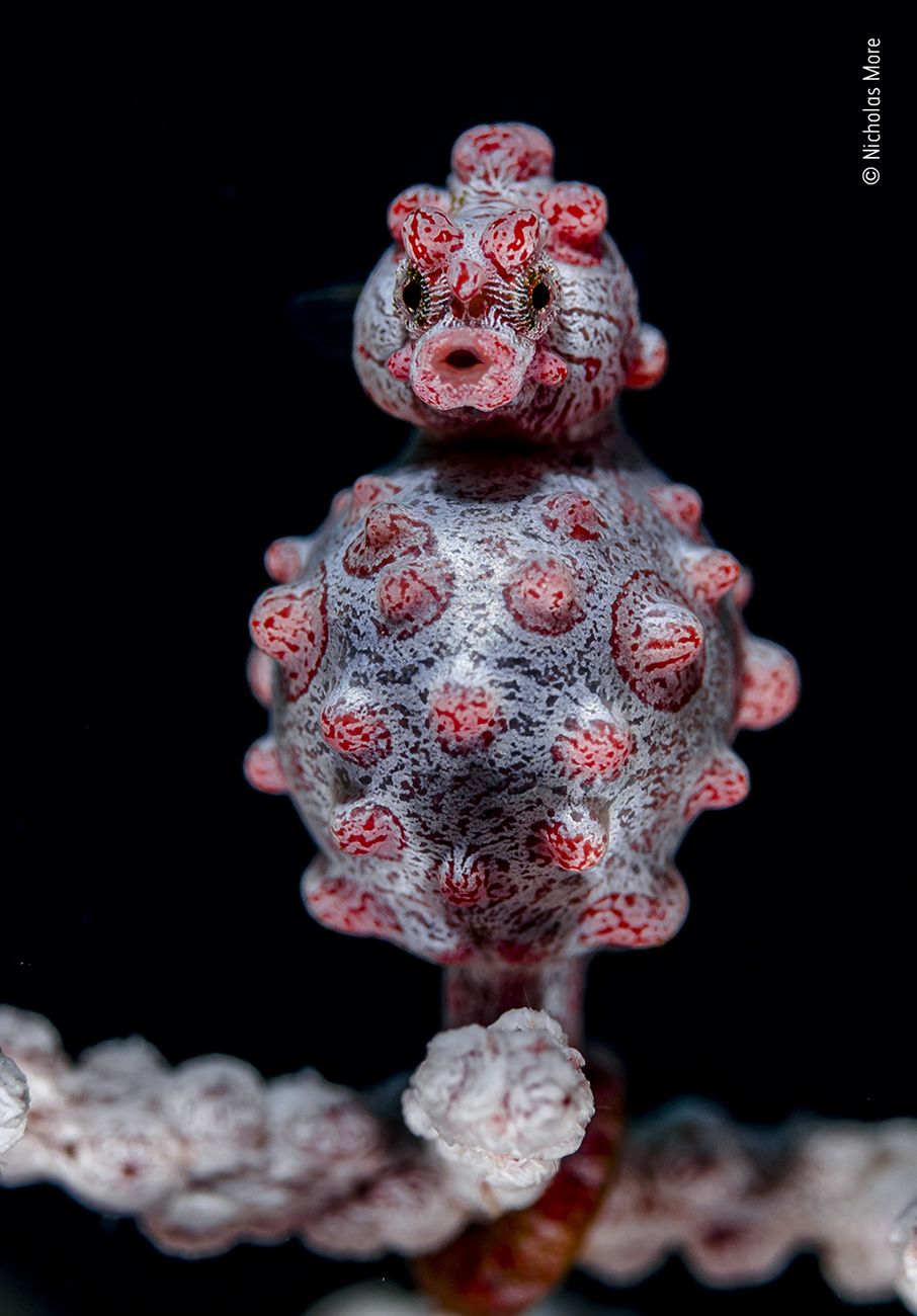 Τα κορυφαία κλικ της φύσης για το 2022-23