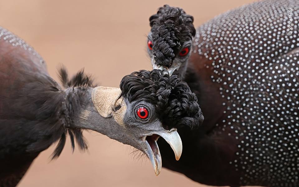 Τα κορυφαία κλικ της φύσης για το 2022-3