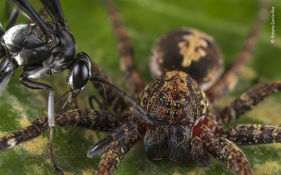 Τα κορυφαία κλικ της φύσης για το 2022-7