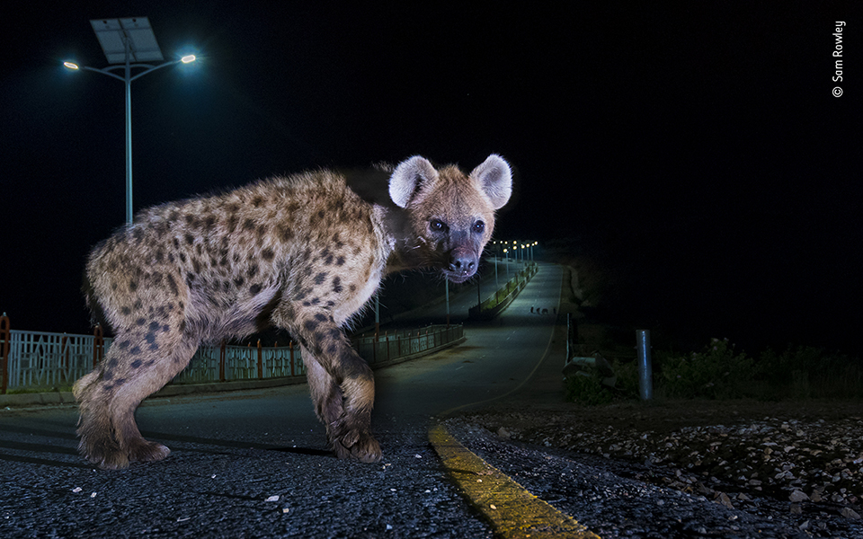 Τα κορυφαία κλικ της φύσης για το 2022-1