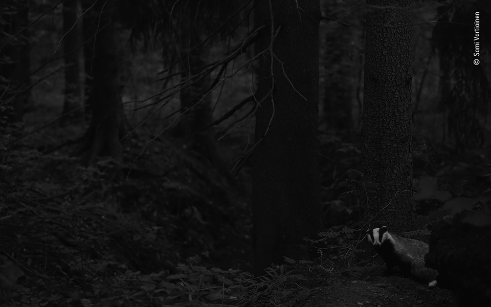 Τα κορυφαία κλικ της φύσης για το 2022-20