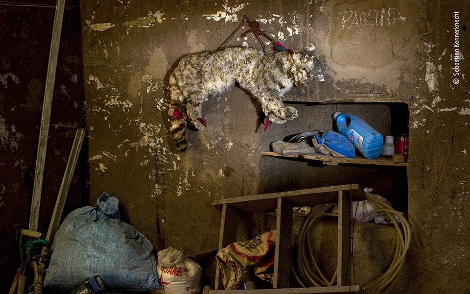 Τα κορυφαία κλικ της φύσης για το 2022-8