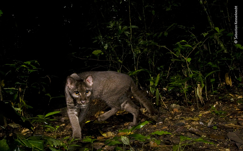 Τα κορυφαία κλικ της φύσης για το 2022-9