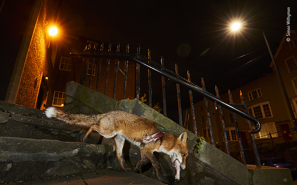 Τα κορυφαία κλικ της φύσης για το 2022-25