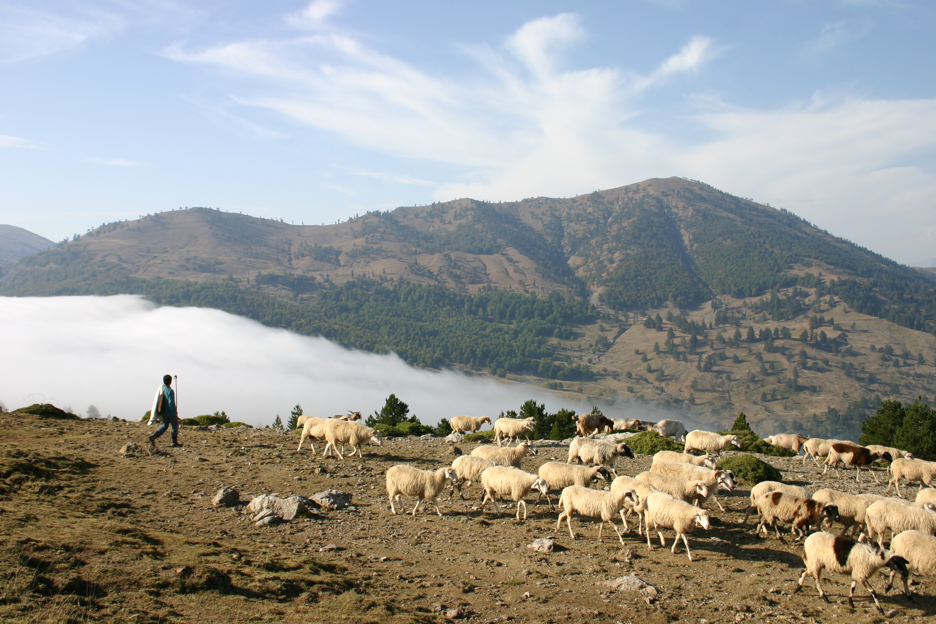 Όταν οι Νεάντερταλ περπατούσαν στον Σμόλικα – Ευρήματα 60.000 ετών στη Σαμαρίνα-3