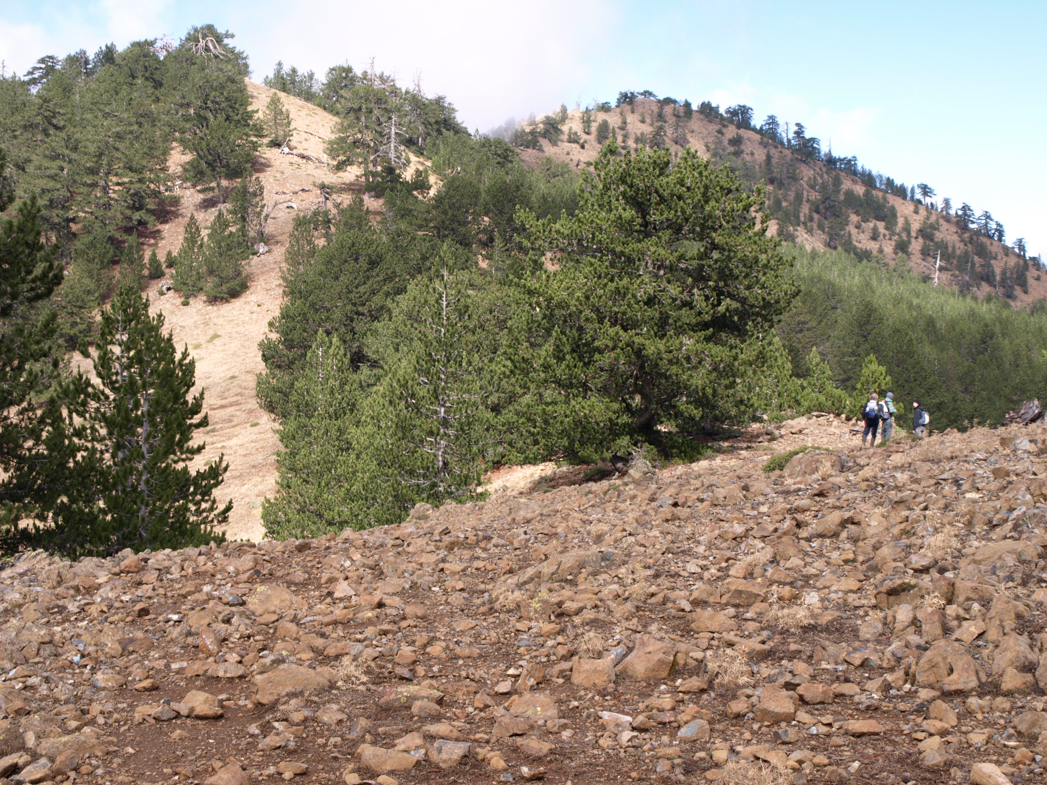 Όταν οι Νεάντερταλ περπατούσαν στον Σμόλικα – Ευρήματα 60.000 ετών στη Σαμαρίνα-4