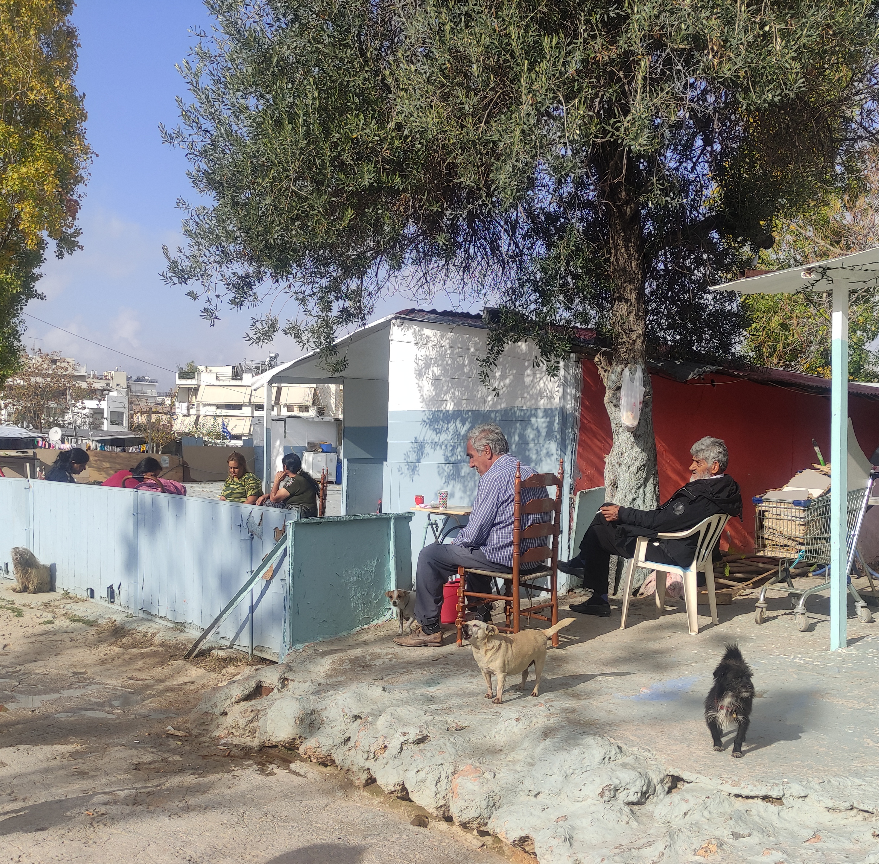 Η «εύθραυστη» ζωή των Ρομά: «Είναι η ευκαιρία μας να δείξουμε τον ρατσισμό εναντίον μας»-6