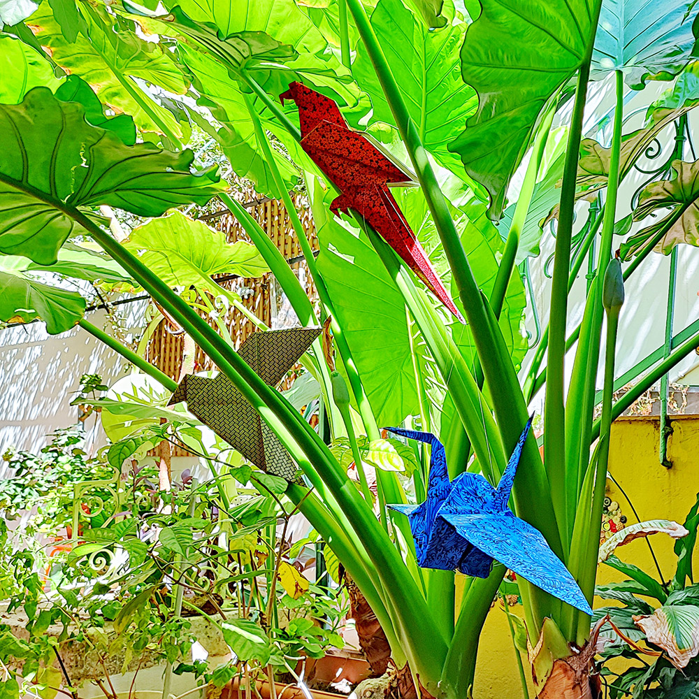 Αλεξάνδρα θα μας φτιάξεις ένα origami;-4