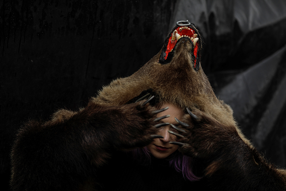 αρκούδες-στην-ρουμανία-562193587