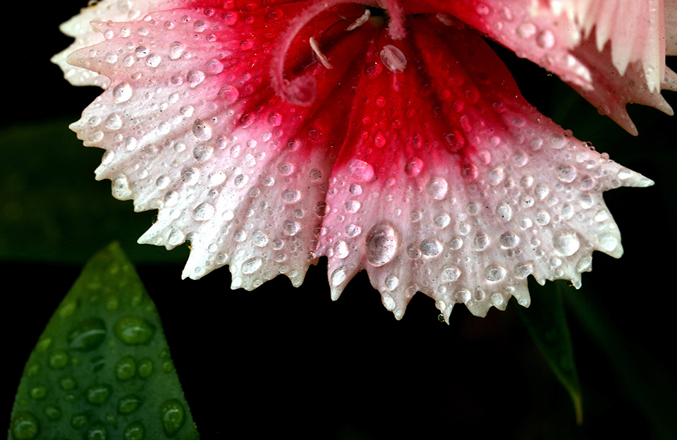Εποχιακή ομορφιά