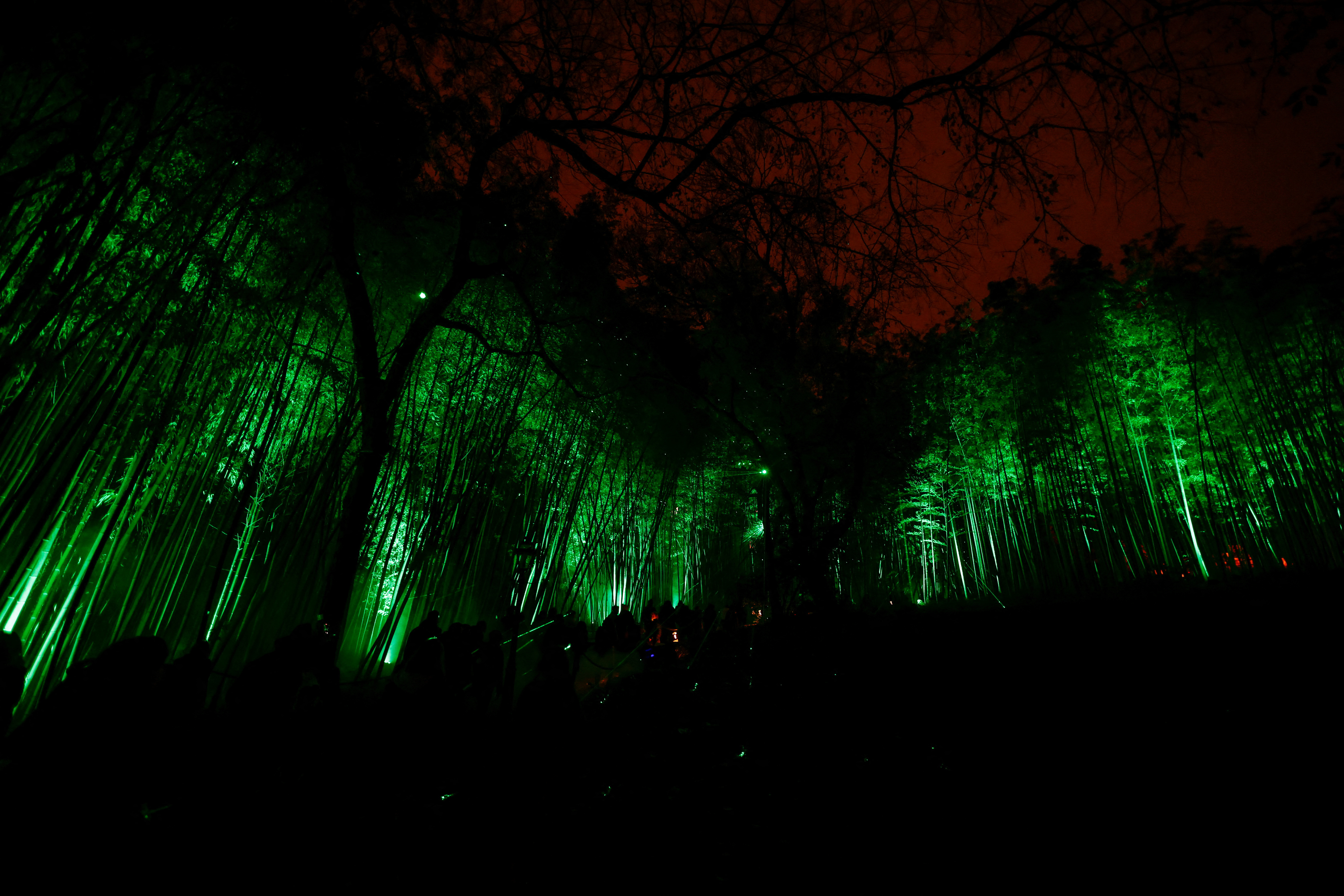 Ένας φωτισμένος χριστουγεννιάτικος κήπος στη Ρώμη-5