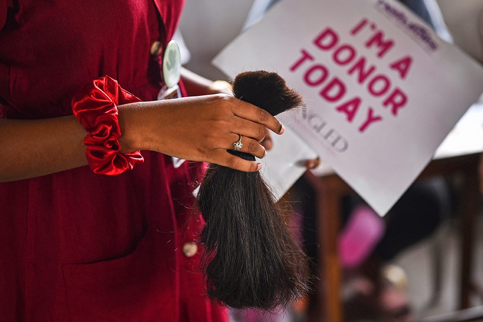 Αρκούδες στην Ρουμανία-2