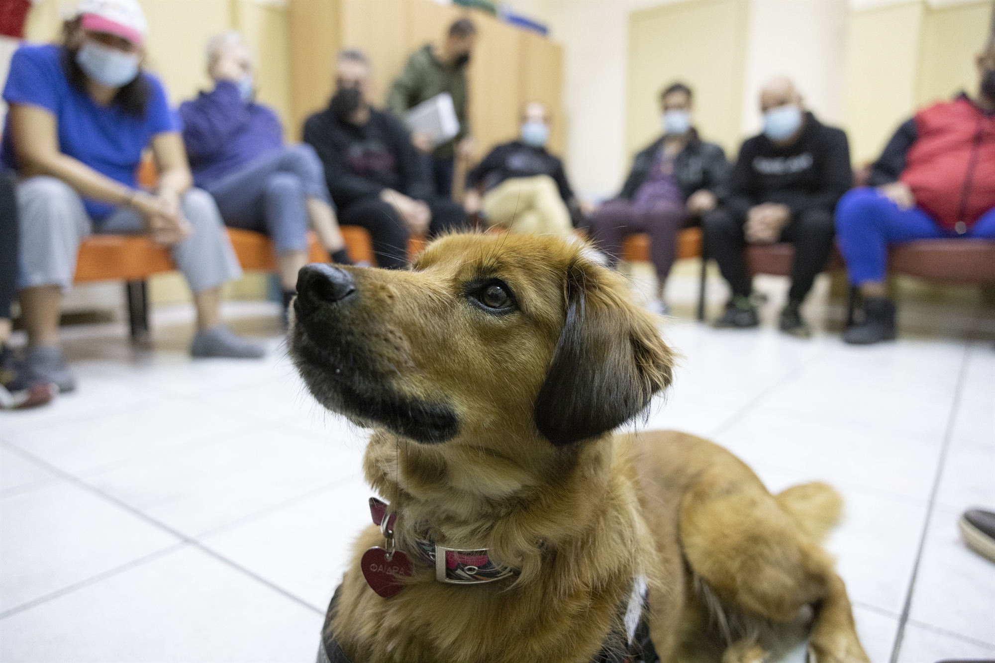 Διαβάστε στην «Καθημερινή της Κυριακής»-5