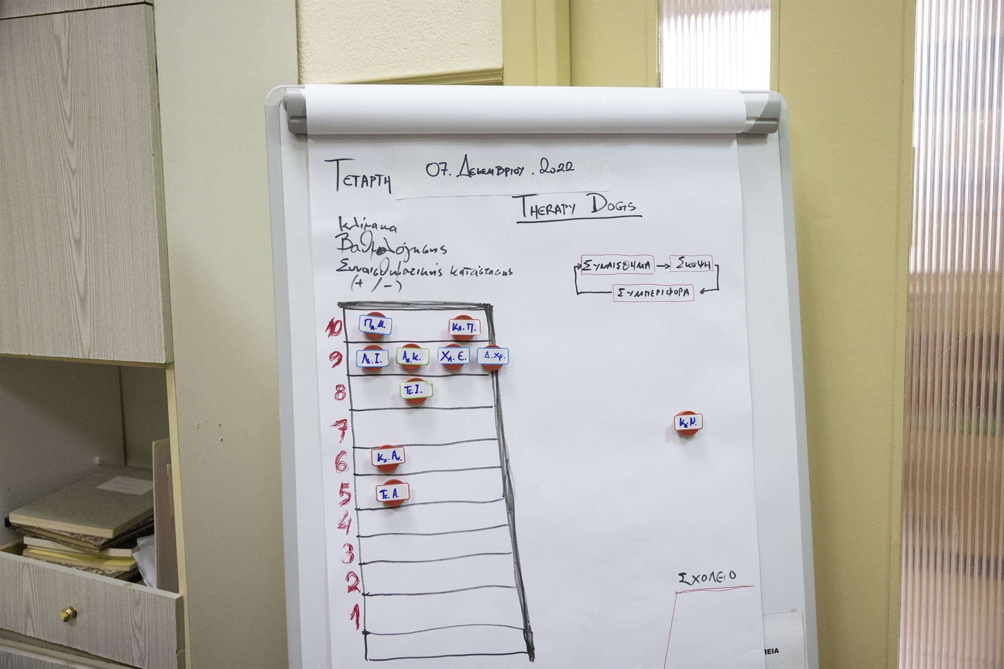 Το θαύμα των αδέσποτων θεραπευτών-2