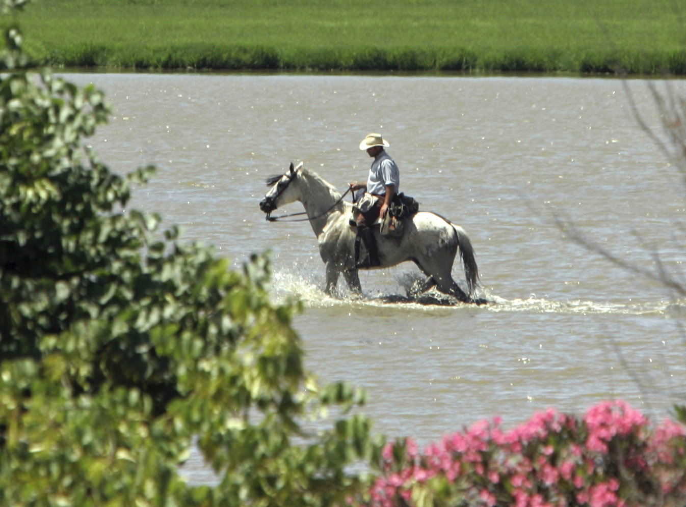 μιλώντας-με-τα-ζώα-επικοινωνία-και-ανά-562175482