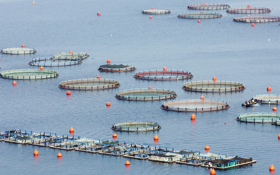 αποζημιώσεις-στους-τομείς-αλιείας-κα-562180690