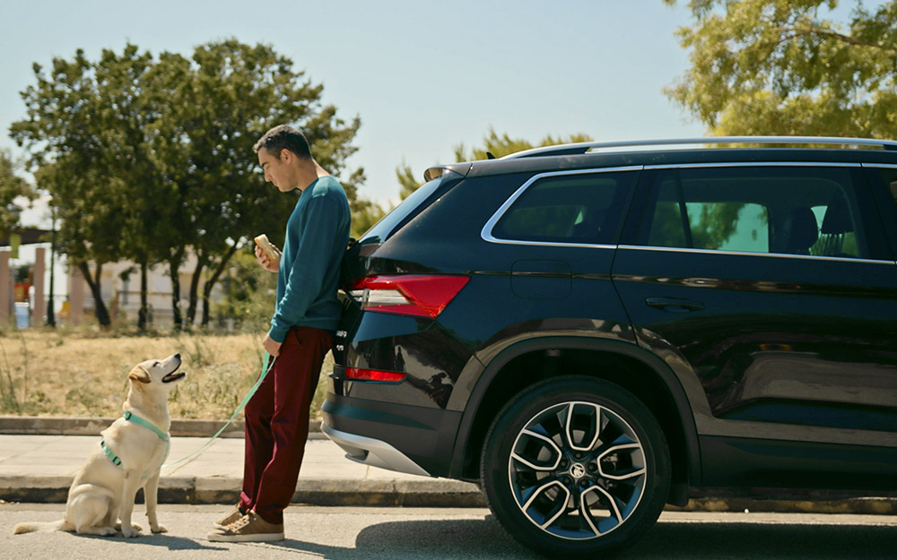 σκύλος-στο-αυτοκίνητο-tips-για-ασφαλείς-δ-562183444