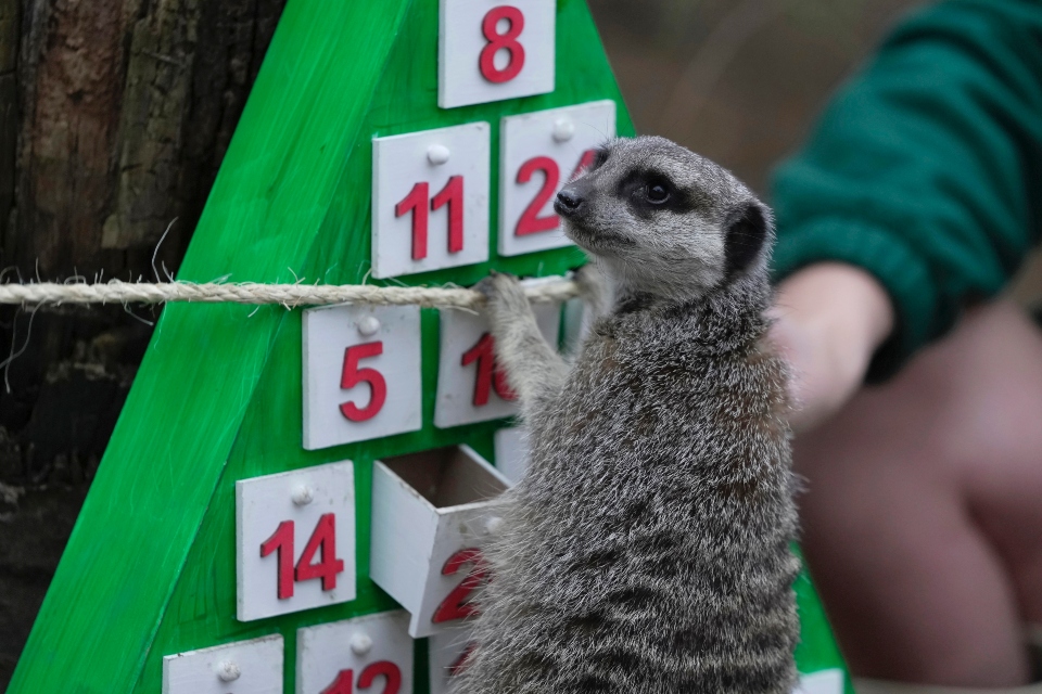 Ο γύρος του κόσμου μέσα από τα Χριστούγεννα-28