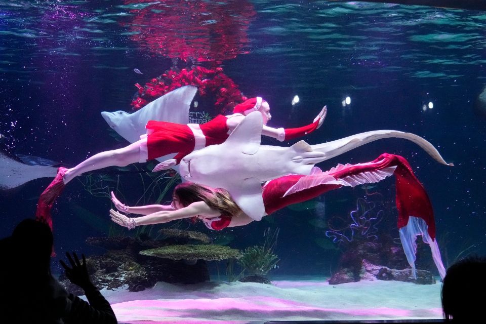 ο-γύρος-του-κόσμου-μέσα-από-τα-χριστούγ-562200769