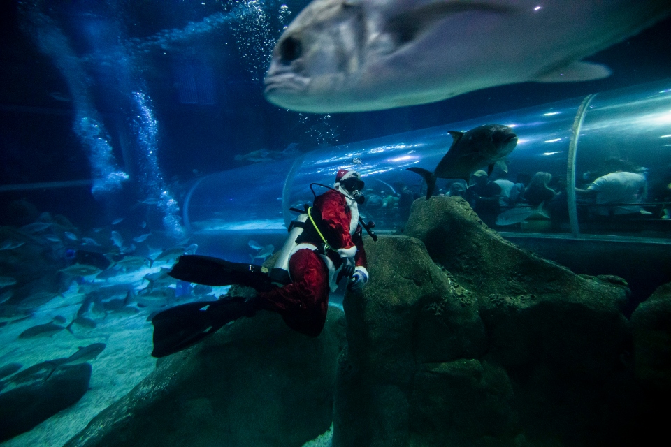 Ο γύρος του κόσμου μέσα από τα Χριστούγεννα-16