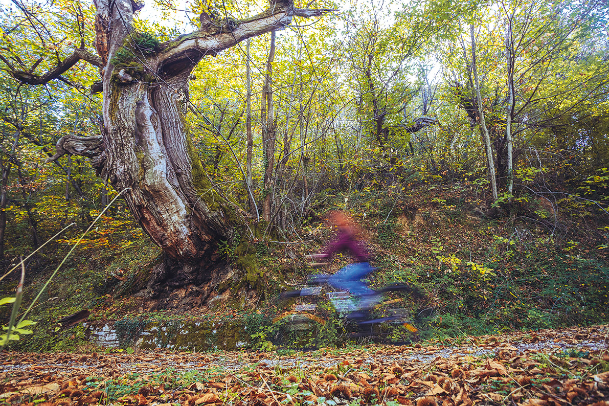 Καρύταινα-Αμπελιώνα: Φύση στον υπερθετικό-9
