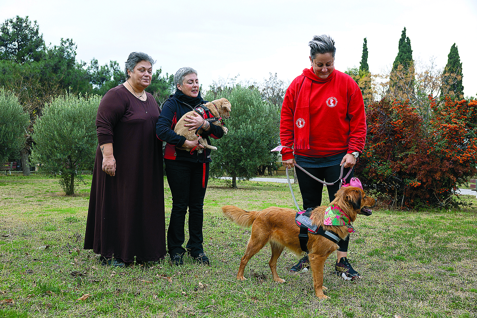 Το θαύμα των αδέσποτων θεραπευτών-1