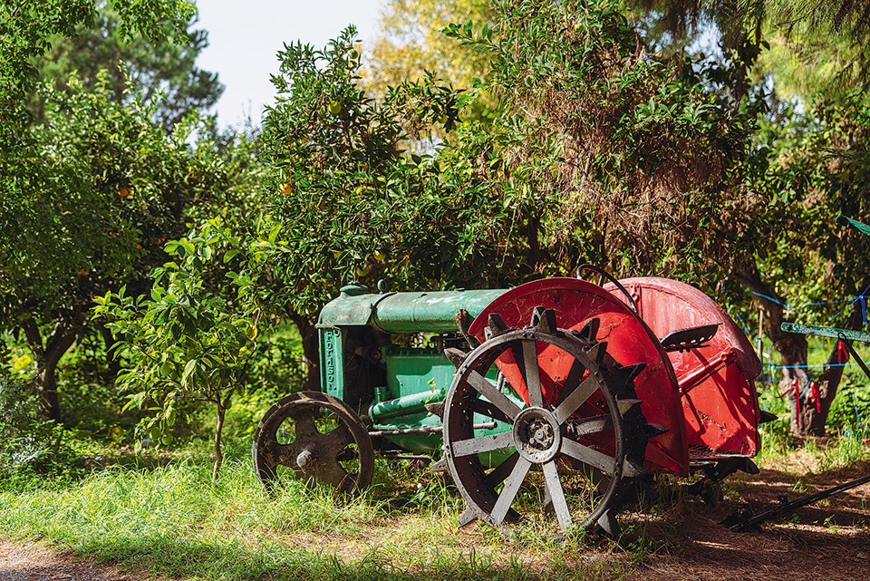 Μεσσηνία: Διαδρομές του αγρού και της εύφορης γης-1