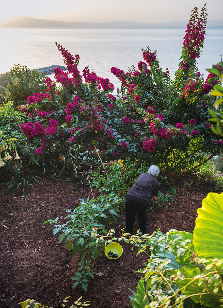 Μεσσηνία: Διαδρομές του αγρού και της εύφορης γης-8