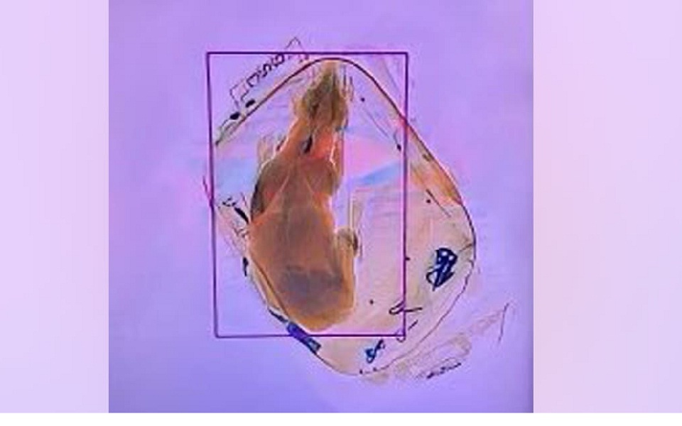 ηπα-σκύλος-εντοπίστηκε-μέσα-σε-χειραπ-562174597