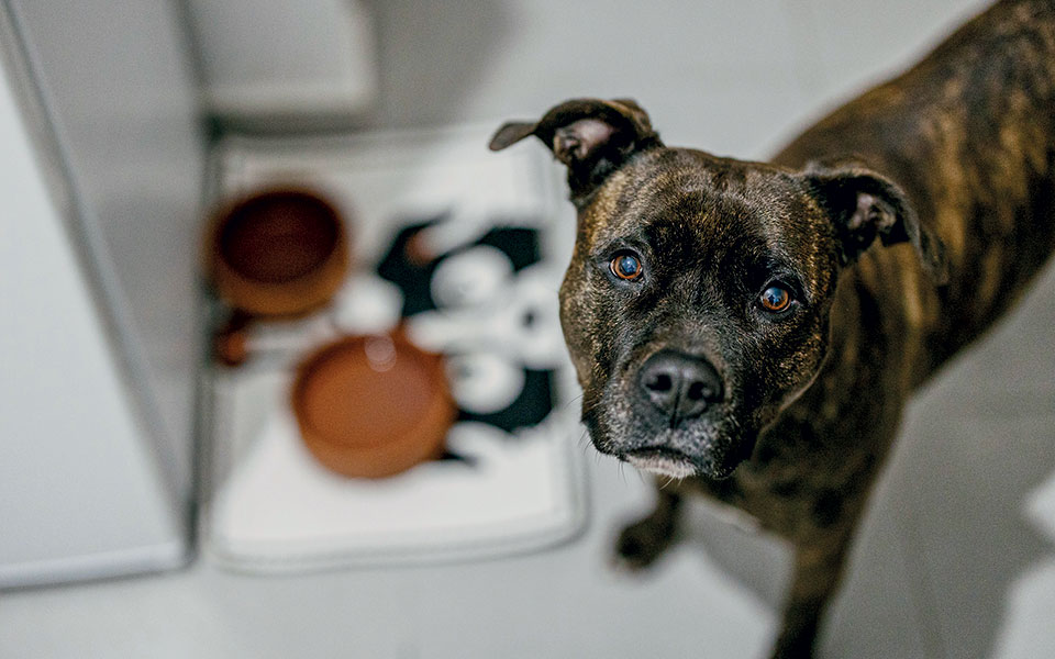 Η συγκατοίκηση ως αντίδοτο στο υψηλό κόστος ζωής-4
