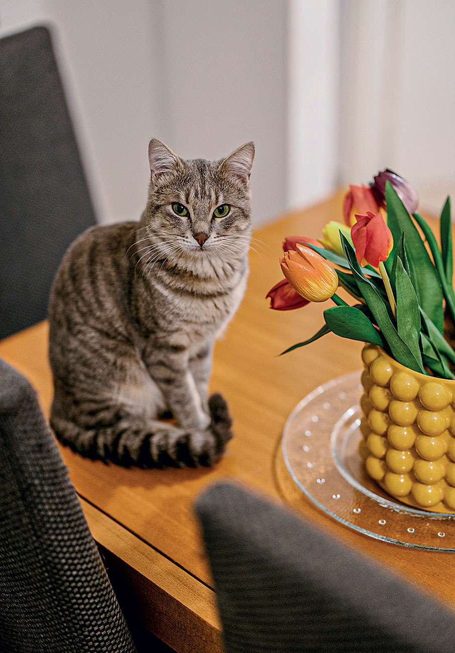 Η συγκατοίκηση ως αντίδοτο στο υψηλό κόστος ζωής-1