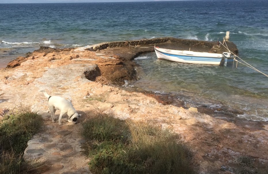 Πυρκαγιά στο Μάτι – Γ. Κορζενιόφσκι: «Θα έπρεπε σήμερα να είναι ζωντανοί»-1