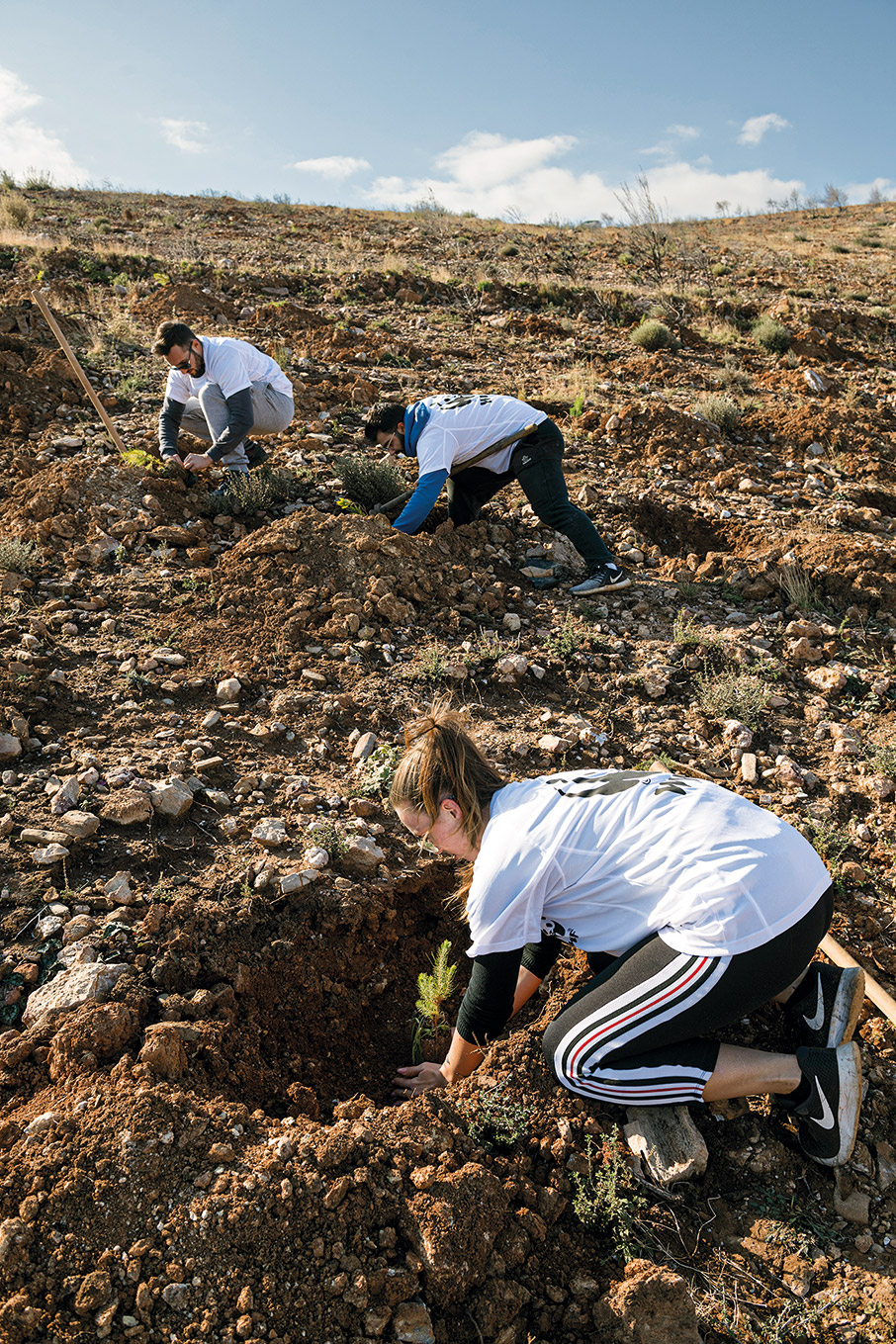 Πόσα δέντρα φυτέψατε σήμερα;-4
