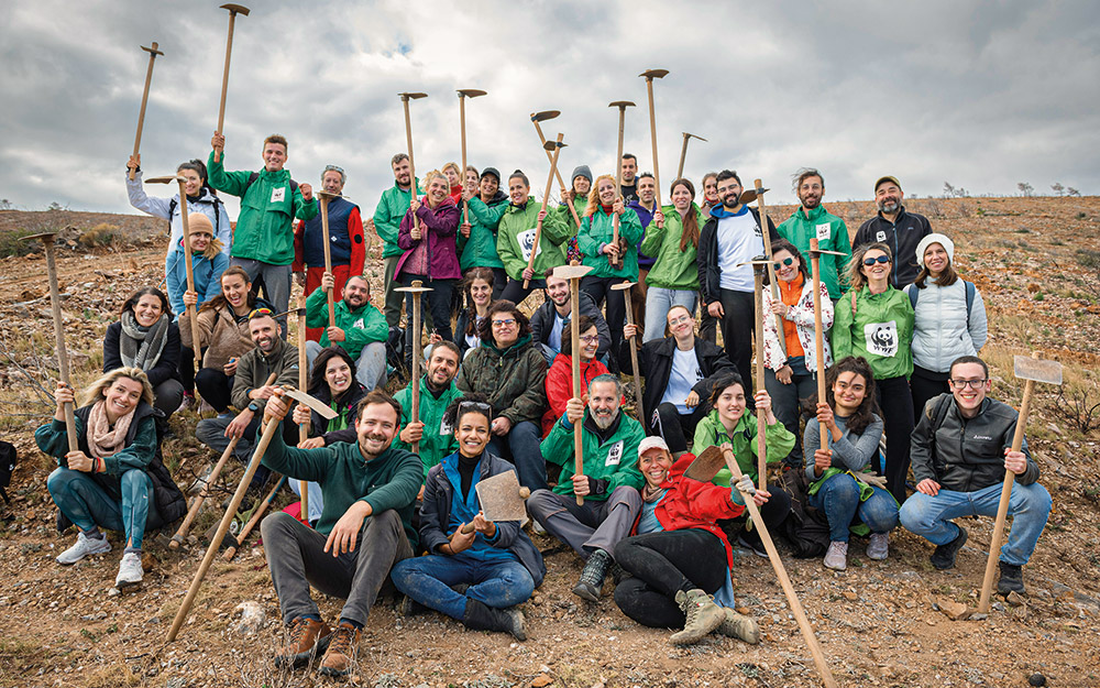 πόσα-δέντρα-φυτέψατε-σήμερα-562186987