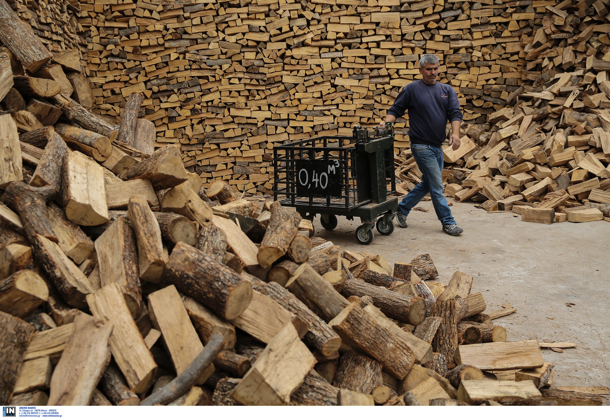 bloomberg-η-εε-κοιτά-το-δέντρο-κυριολεκτικά-κα-562199614