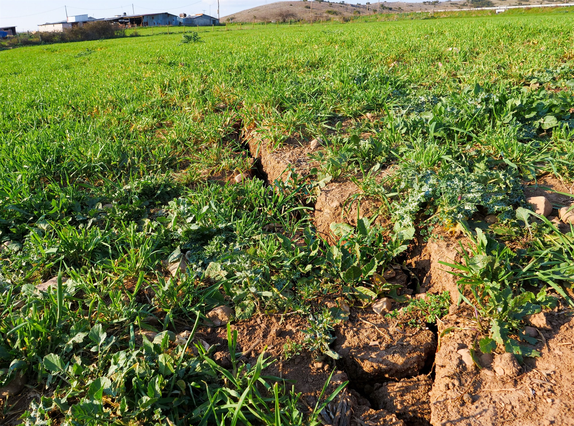 όλα-τα-σεισμικά-ρήγματα-σε-έναν-ψηφιακ-562175422