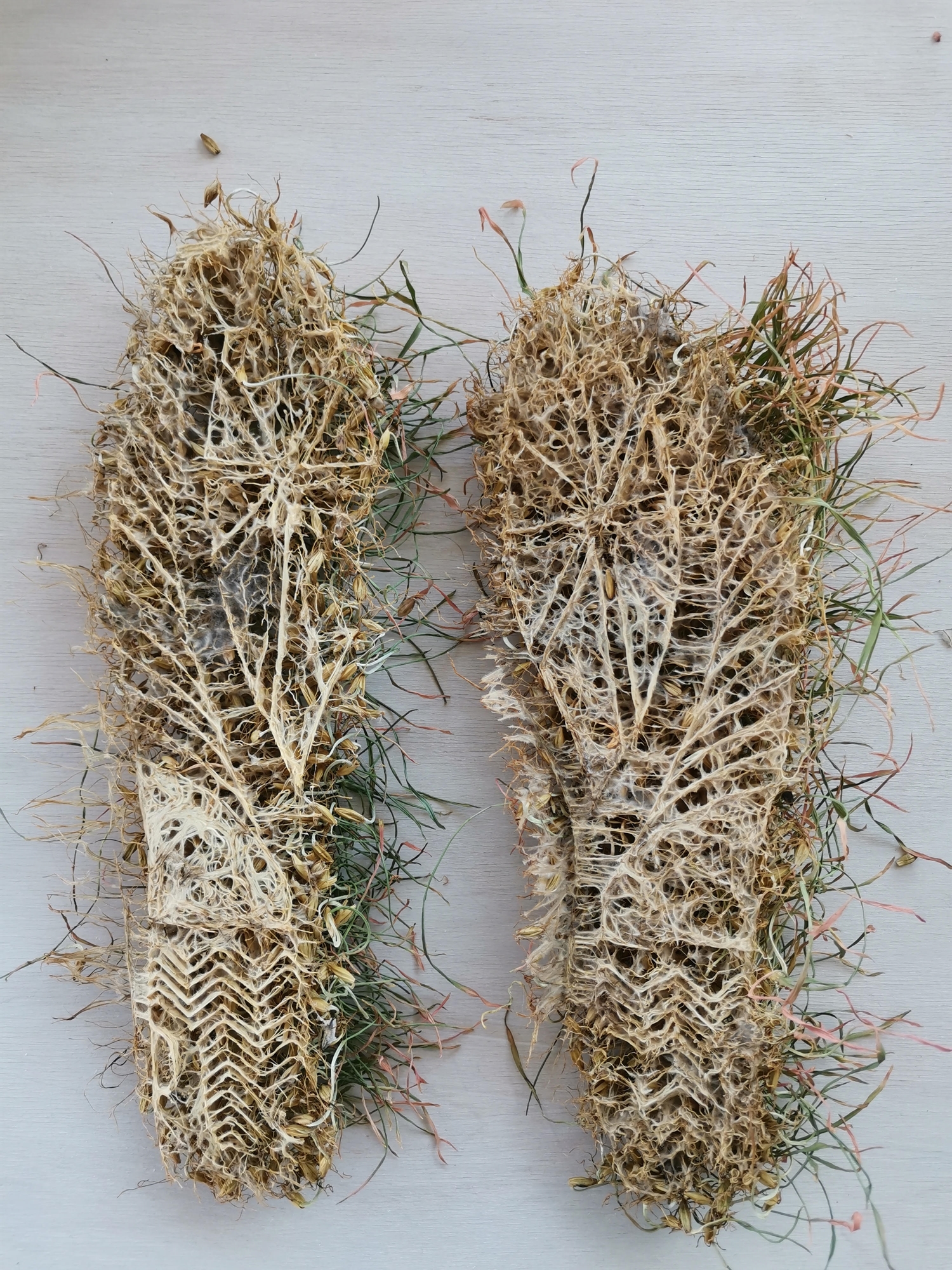 η-graceland-της-μπιενάλε-θεσσαλονίκης-562177471