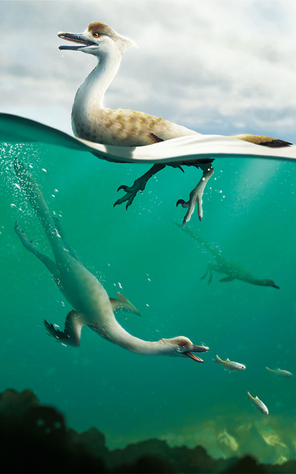 Μογγολία: Ανακαλύφθηκε νέο είδος δεινοσαύρου με σώμα παρόμοιο με πιγκουίνου-1