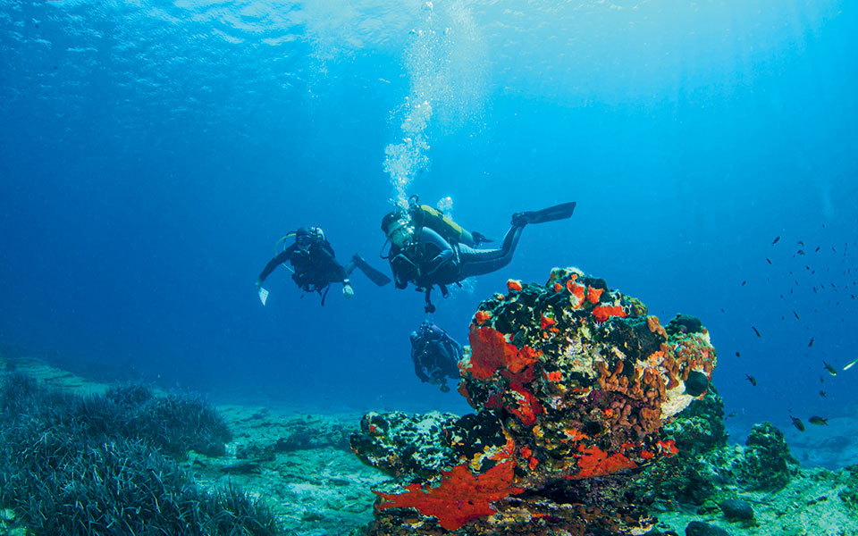 κερδίζουν-το-στοίχημα-του-αιγαίου-562172713