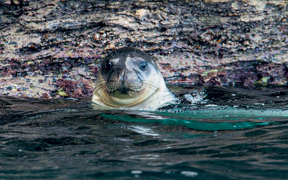 Κερδίζουν το στοίχημα του Αιγαίου-2